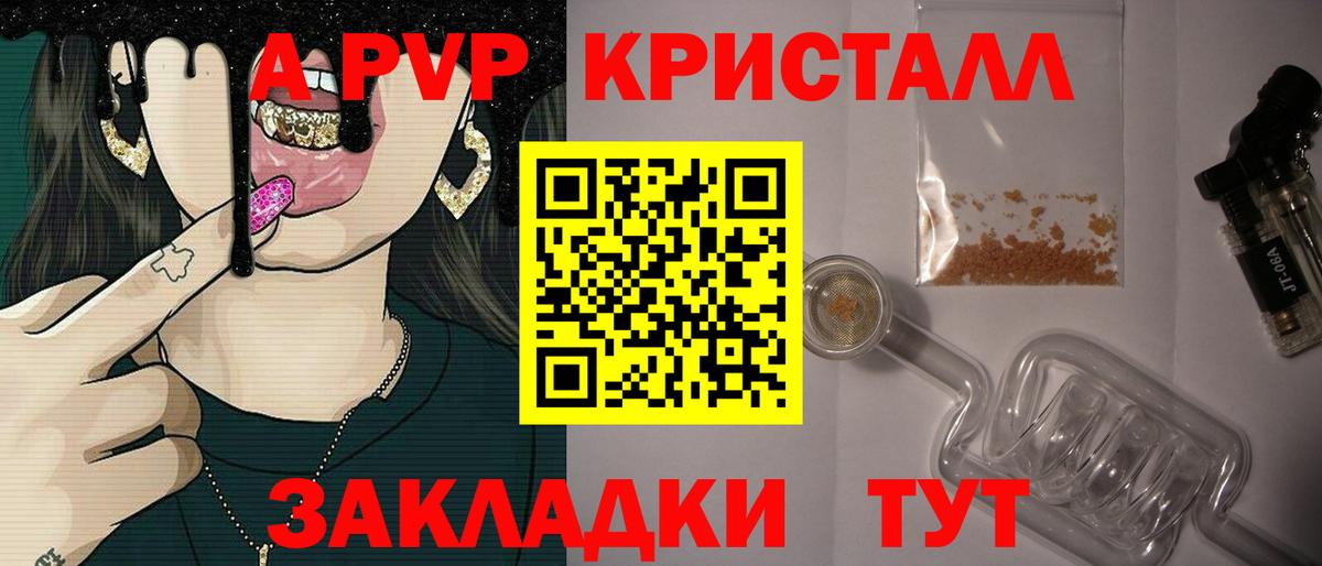 A PVP СК Асино