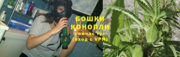 гашик Арсеньев