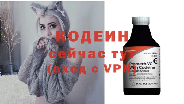гашик Арсеньев