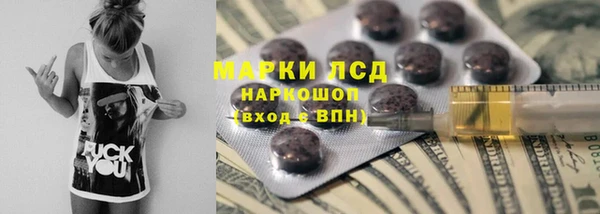 гашик Арсеньев
