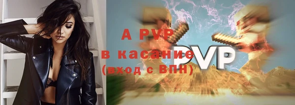 гашик Арсеньев