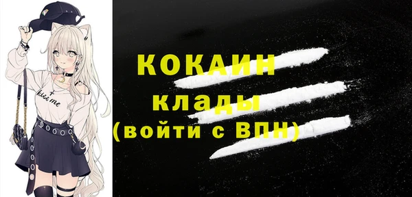 гашик Арсеньев
