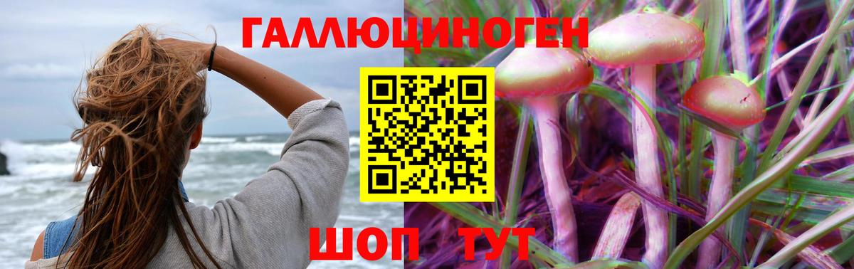 Галлюциногенные грибы Psilocybine cubensis  Асино  Галлюциногенные грибы прущие грибы 
