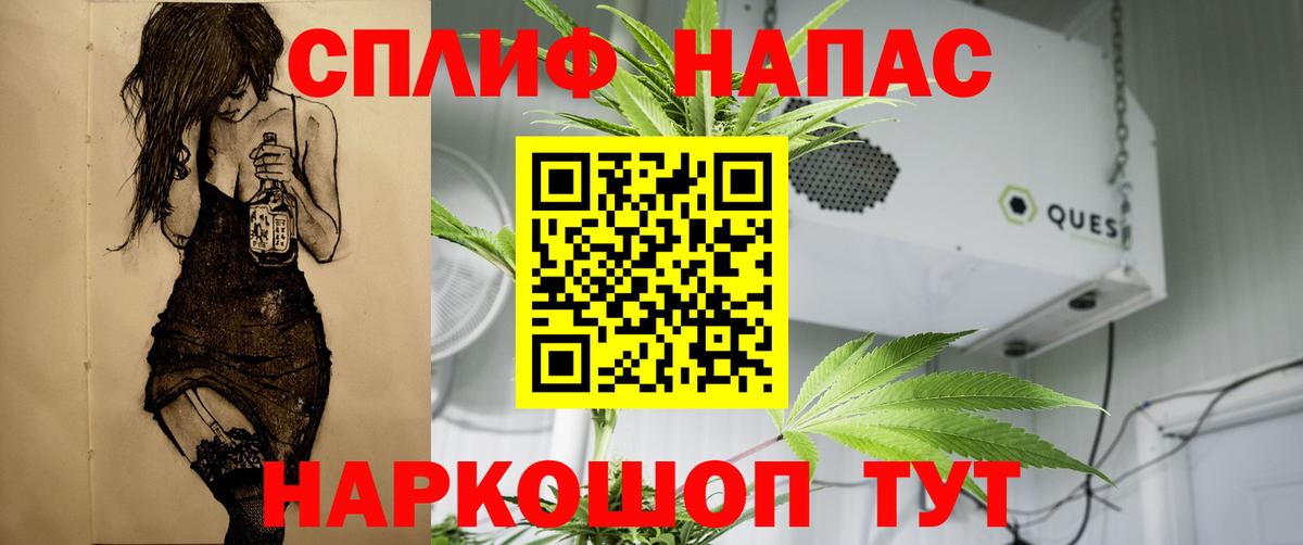 Канабис планчик  Шишки марихуана индика  Шишки марихуана THC 21%  Асино  Каннабис конопля 